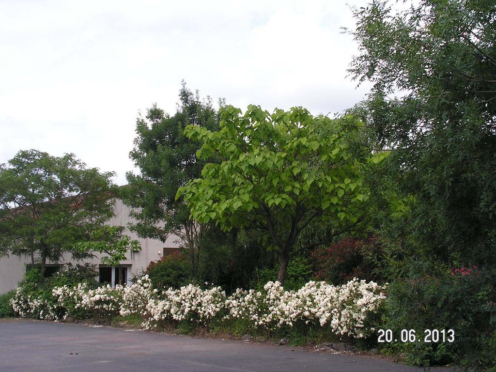 Le Bois Joli Massais Exterior foto