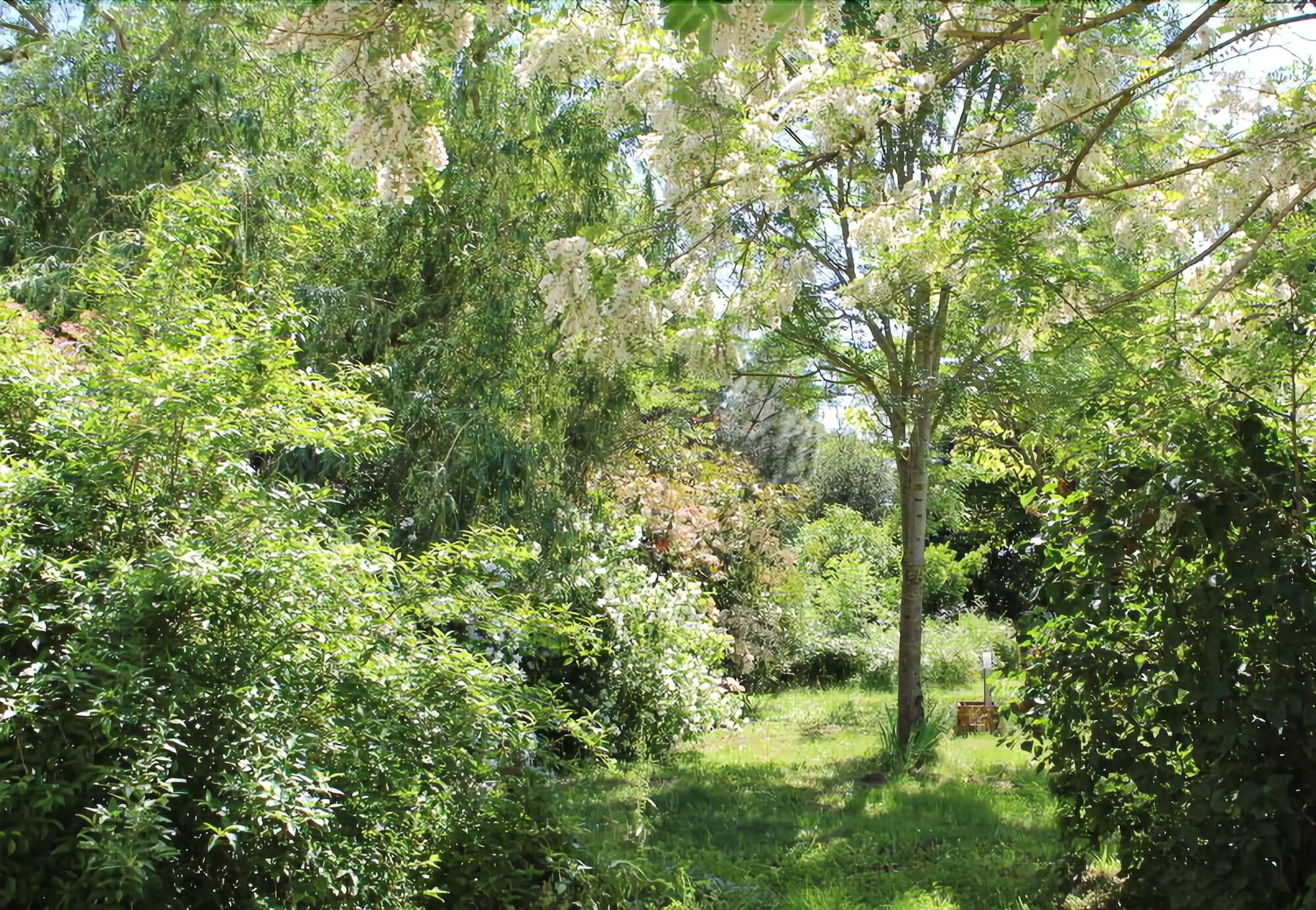 Le Bois Joli Massais Exterior foto